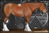 Horse Color:Bay Sabino Tobiano