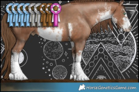 Horse Color:White Spotted Brown Pearl 