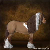 Horse Color:Gray Red Dun Tobiano 