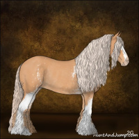 Horse Color:Gray White Spotted Cremello Rabicano 