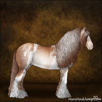 Horse Color:Gray White Spotted Gold Champagne Rabicano 