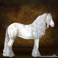 Horse Color:Gray Silver Classic Champagne Dun Splash Tobiano Frame Rabicano 