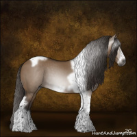 Horse Color:Gray Liver Red Dun Tobiano Frame 