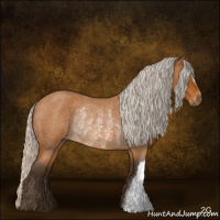 Horse Color:Gray Silver Buckskin Roan Appaloosa Rabicano 