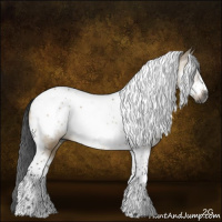 Horse Color:Gray Brown Dun Tobiano Frame