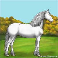 Horse Color:White Spotted Bay Splash Tobiano 