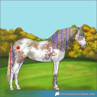 Horse Color:Painted Nacre White Spotted Silver Smoky Grullo Splash Frame 