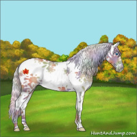 Horse Color:Nacre White Spotted Silver Smoky Grullo Splash Tobiano Frame 