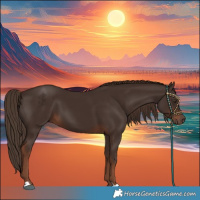 Horse Color:Liver Chestnut 