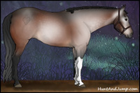 Horse Color:Gray Bay 