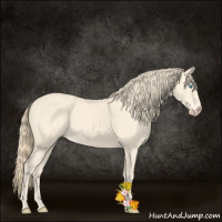 Horse Color:Perlino 