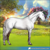 Horse Color:Gray Chestnut 
