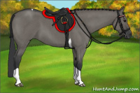 Horse Color:Grullo Roan Tobiano 