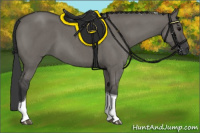 Horse Color:Grullo Roan Tobiano 