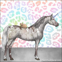 Horse Color:White Spotted Chocolate Silver Grullo Chinchilla Brindle 