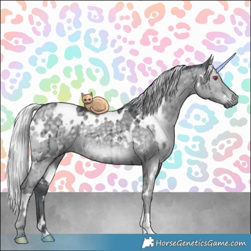 Horse Color:White Spotted Silver Grullo Chinchilla Brindle 