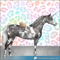 Horse Color:White Spotted Chocolate Silver Smoky Grullo Chinchilla Ice 
