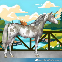 Horse Color:White Spotted Chocolate Silver Grullo Chinchilla Onyx Brindle 