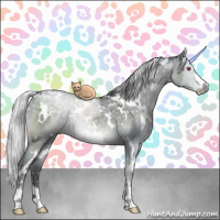 Horse Color:White Spotted Silver Grullo Chinchilla Sabino 