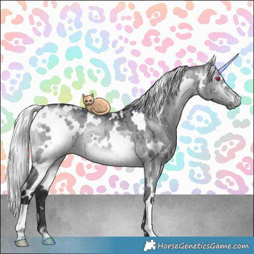 Horse Color:White Spotted Silver Brown Chinchilla Dun Brindle