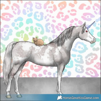 Horse Color:White Spotted Chocolate Silver Grullo Chinchilla Sabino 