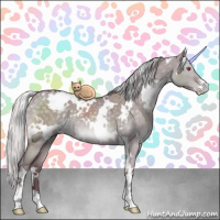 Horse Color:White Spotted Chocolate Silver Grullo Chinchilla Sabino 