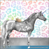 Horse Color:White Spotted Silver Grullo Chinchilla Ice Tobiano 