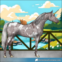 Horse Color:White Spotted Chocolate Silver Grullo Chinchilla Brindle 