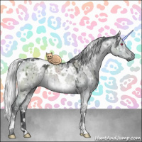 Horse Color:White Spotted Silver Grullo Chinchilla Brindle 