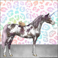 Horse Color:Painted White Spotted Chocolate Silver Grullo Chinchilla Ice Sabino Brindle 