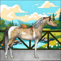 Horse Color:Buckskin Dun Tobiano Brindle 