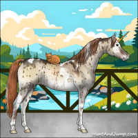 Horse Color:Liver Red Dun Onyx Tobiano Brindle 