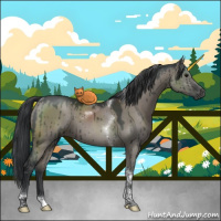 Horse Color:Grullo Tobiano Brindle