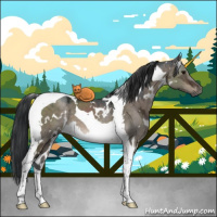 Horse Color:White Spotted Brown Ice Dun Tobiano