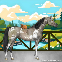 Horse Color:White Spotted Brown Ice Dun Tobiano Brindle 