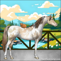 Horse Color:White Spotted Liver Red Dun Pearl Tobiano Brindle 