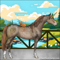 Horse Color:Liver Red Dun Sabino Brindle 