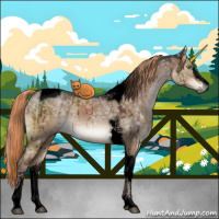 Horse Color:Void Liver Red Dun Ice Sabino Tobiano Brindle 