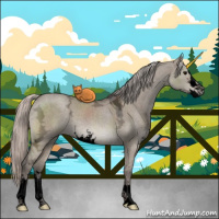 Horse Color:Void Silver Grullo Ice Sabino