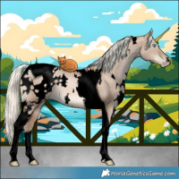 Horse Color:Void White Spotted Liver Red Dun Pearl Mushroom Tobiano 