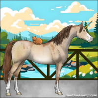 Horse Color:Brown Pearl Dun Sabino