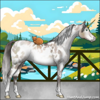 Horse Color:Gray Platinum White Spotted Brown Pearl Appaloosa 