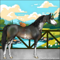 Horse Color:Gray Brown Mushroom Sabino