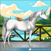 Horse Color:Gray Platinum Brown Pearl Dun Splash 