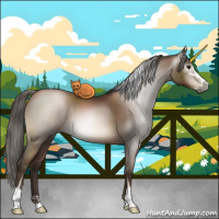 Horse Color:Gray Brown Pearl Sabino 