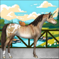 Horse Color:Gray Brown Pearl Dun Appaloosa Brindle