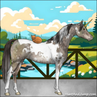 Horse Color:White Spotted Liver Red Dun Ice Tobiano Brindle 