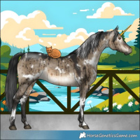 Horse Color:Gray White Spotted Brown Dun Brindle 