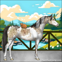 Horse Color:White Spotted Liver Red Dun Sabino Brindle