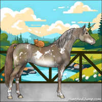 Horse Color:White Spotted Liver Red Dun Brindle 